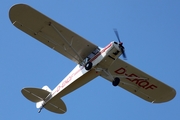 (Private) Piper PA-18-95 Super Cub (D-EKQF) at  Bienenfarm, Germany