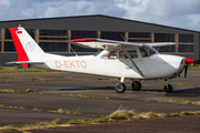 (Private) Cessna F172G Skyhawk (D-EKTO) at  Itzehoe - Hungriger Wolf, Germany