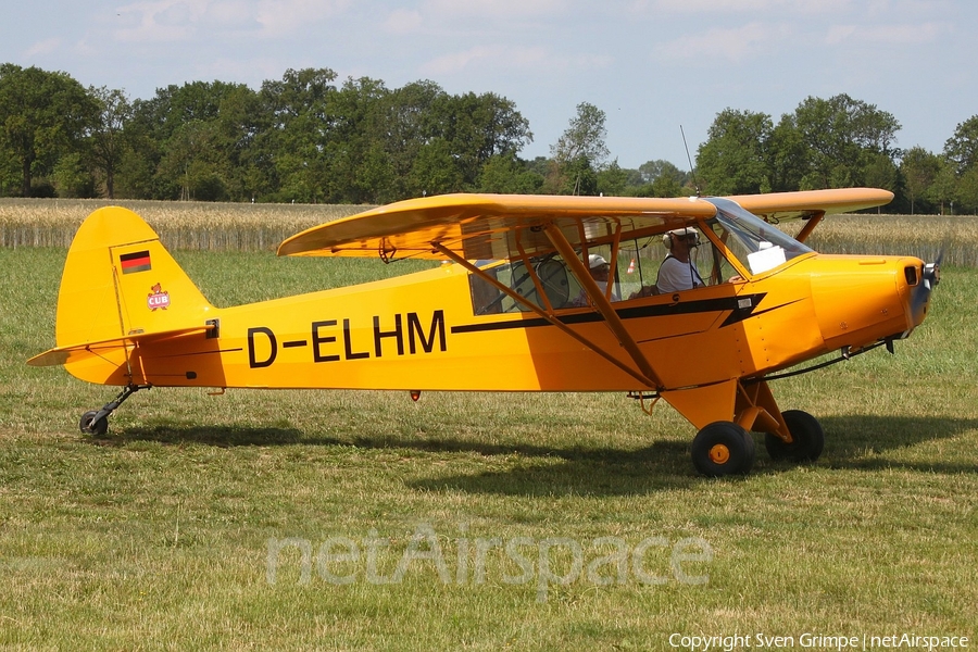 (Private) Piper PA-18-95 Super Cub (D-ELHM) | Photo 334415