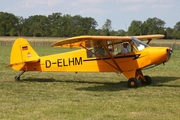 (Private) Piper PA-18-95 Super Cub (D-ELHM) at  Bienenfarm, Germany