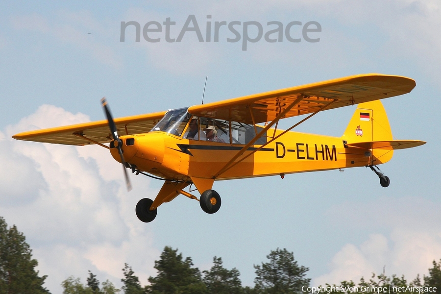 (Private) Piper PA-18-95 Super Cub (D-ELHM) | Photo 338791