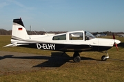 (Private) Grumman American AA-5B Tiger (D-ELHY) at  Uetersen - Heist, Germany