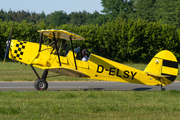(Private) Stampe et Vertongen SV.4C (D-ELSY) at  Uelzen, Germany
