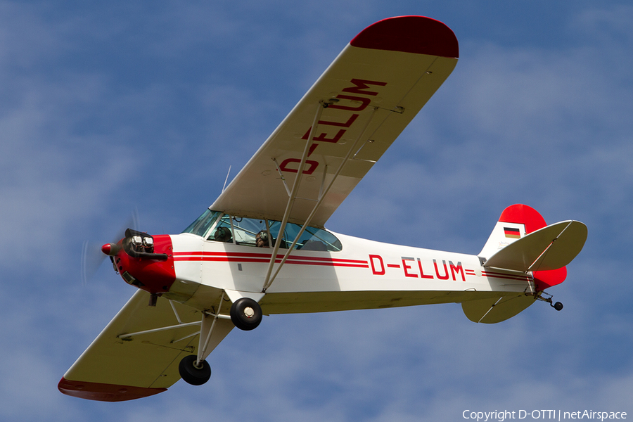 (Private) Piper J3C-65 Cub (D-ELUM) | Photo 368723