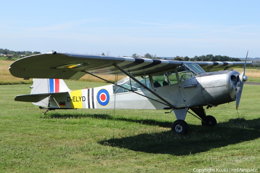 (Private) Taylorcraft Auster AOP Mk.V (D-ELYD) | Photo 635973