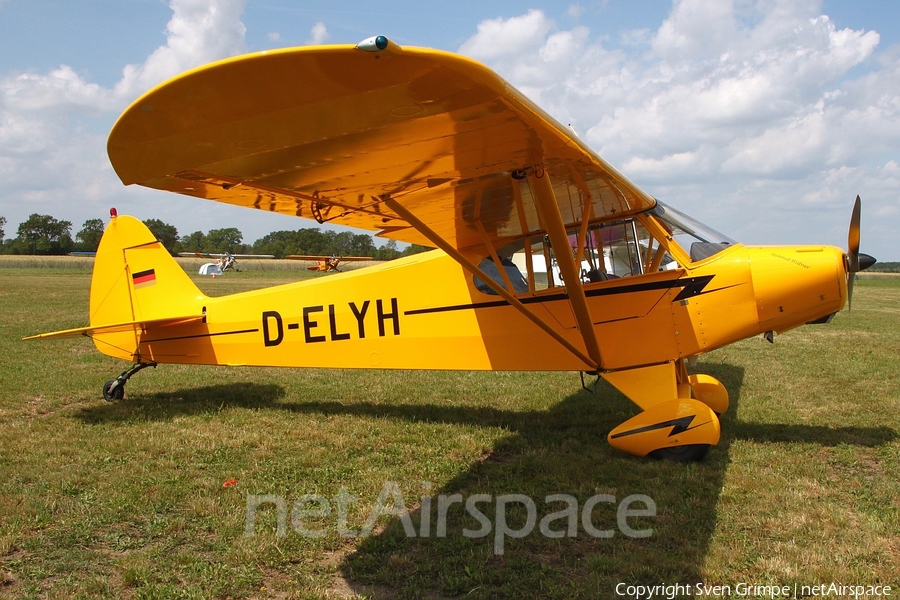 (Private) Piper PA-18-95 Super Cub (D-ELYH) | Photo 332318