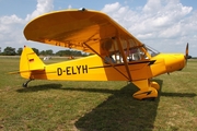 (Private) Piper PA-18-95 Super Cub (D-ELYH) at  Bienenfarm, Germany