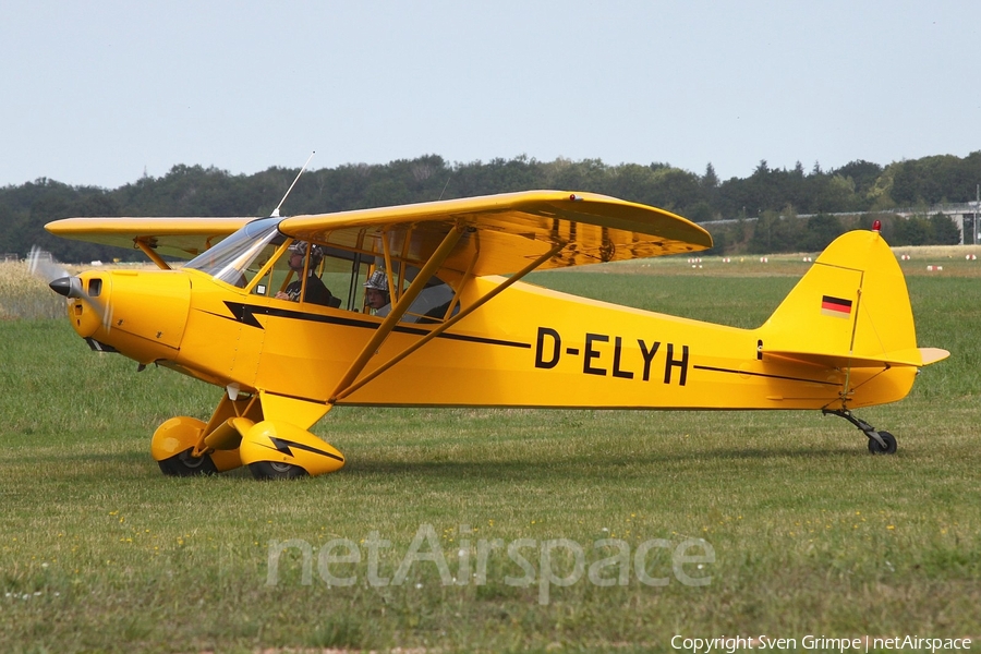 (Private) Piper PA-18-95 Super Cub (D-ELYH) | Photo 337610