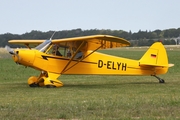 (Private) Piper PA-18-95 Super Cub (D-ELYH) at  Bienenfarm, Germany