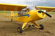 (Private) Piper PA-18-95 Super Cub (D-EMAD) at  Lübeck-Blankensee, Germany