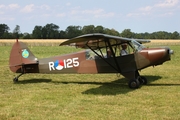 (Private) Piper PA-18-135 Super Cub (D-ENAA) at  Bienenfarm, Germany