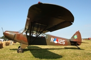 (Private) Piper PA-18-135 Super Cub (D-ENAA) at  Bienenfarm, Germany