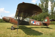 (Private) Piper PA-18-135 Super Cub (D-ENAA) at  Bienenfarm, Germany