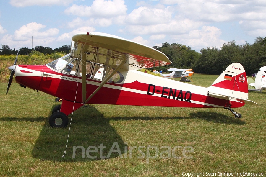 (Private) Piper PA-18-95 Super Cub (D-ENAQ) | Photo 332865