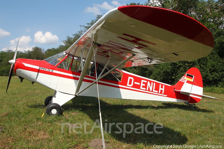 (Private) Piper PA-18-95 Super Cub (D-ENLH) | Photo 341464