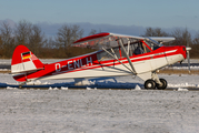 (Private) Piper PA-18-95 Super Cub (D-ENLH) at  Rendsburg - Schachtholm, Germany