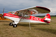 (Private) Piper PA-18-95 Super Cub (D-ENLH) at  Lübeck-Blankensee, Germany