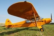 (Private) Piper PA-18-95 Super Cub (D-ENLL) at  Bienenfarm, Germany