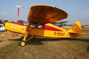 (Private) Fairchild UC-61K Forwarder (D-EROT) at  Bienenfarm, Germany