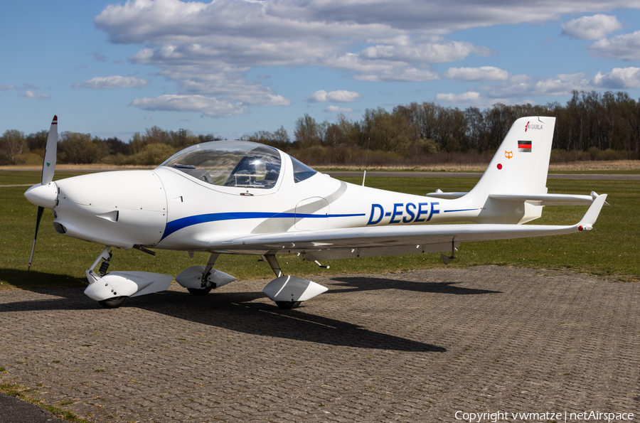 (Private) Aquila A210 (D-ESEF) | Photo 673851