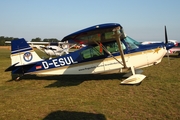 Flugschule Berlin-Brandenburg American Champion 7EC Champ (D-ESUL) at  Bienenfarm, Germany