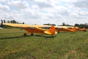 (Private) Piper PA-18-150 Super Cub (D-EUBL) at  Bienenfarm, Germany