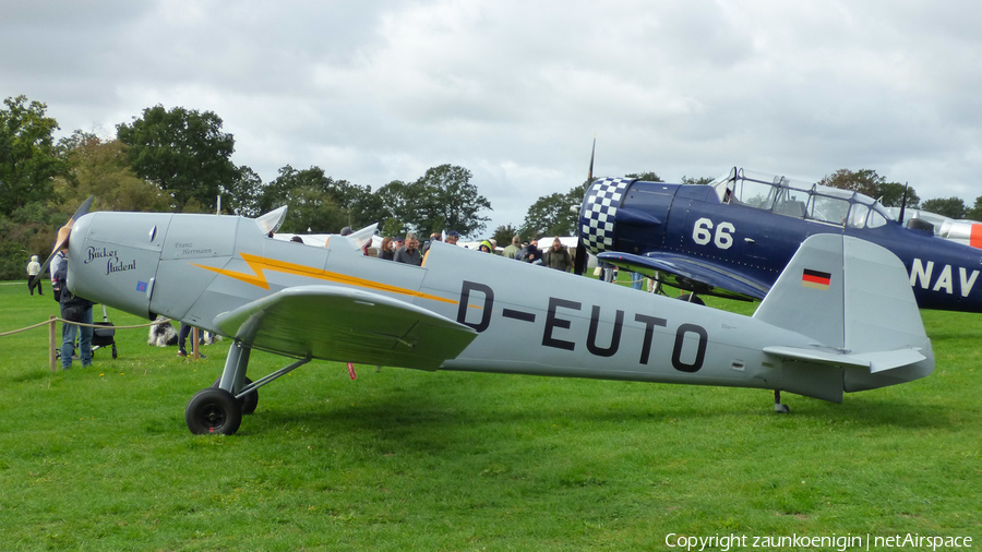 (Private) Bücker Bü 180 Student (D-EUTO) | Photo 526959