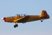 (Private) Zlin Z-526F Trener Master (D-EZDS) at  Bienenfarm, Germany