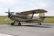 Classic Wings Antonov An-2S (D-FAIR) at  Bitburg, Germany