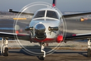 (Private) Socata TBM 850 (D-FALF) at  Hamburg - Fuhlsbuettel (Helmut Schmidt), Germany