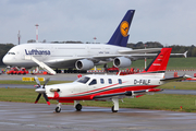 (Private) Socata TBM 850 (D-FALF) at  Hamburg - Fuhlsbuettel (Helmut Schmidt), Germany