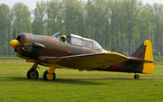 (Private) Canadian Car &amp; Foundry Harvard 4 (D-FAME) at  Bohmte - Bad Essen, Germany