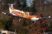 (Private) Pilatus PC-12/47E (NGX) (D-FDGA) at  Hamburg - Fuhlsbuettel (Helmut Schmidt), Germany