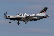 (Private) Socata TBM 930 (D-FEAG) at  Hamburg - Fuhlsbuettel (Helmut Schmidt), Germany