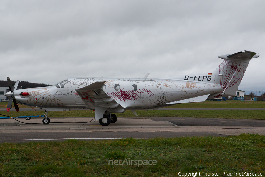 Rhein-Mosel-Flug Pilatus PC-12/47E (D-FEPG) | Photo 98083