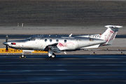 Rhein-Mosel-Flug Pilatus PC-12/47E (D-FEPG) at  Hamburg - Fuhlsbuettel (Helmut Schmidt), Germany