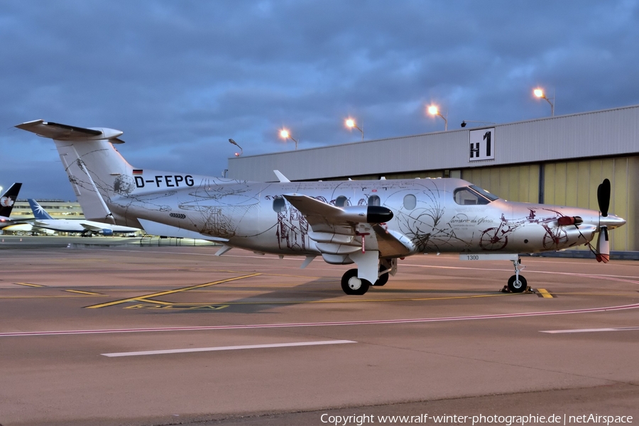 Rhein-Mosel-Flug Pilatus PC-12/47E (D-FEPG) | Photo 588470