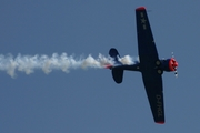 (Private) North American SNJ-5 Texan (D-FHGL) at  Zeltweg, Austria