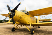 (Private) PZL-Mielec An-2T (D-FJJF) at  Wyk, Germany