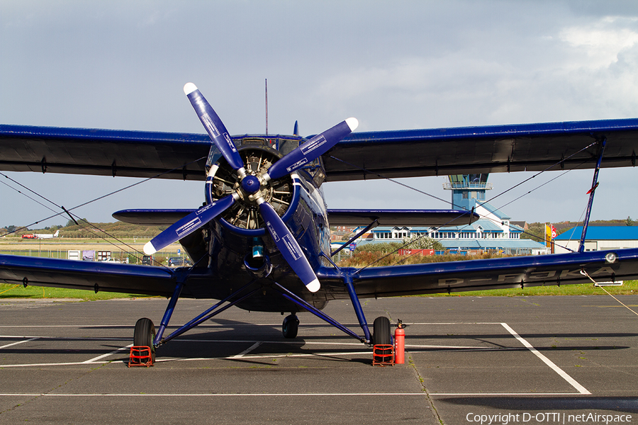 Hanseflug Antonov An-2T (D-FJKA) | Photo 394319