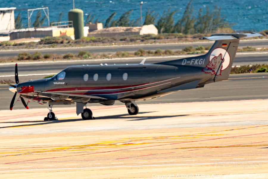 (Private) Pilatus PC-12/47E (D-FKGI) | Photo 663679