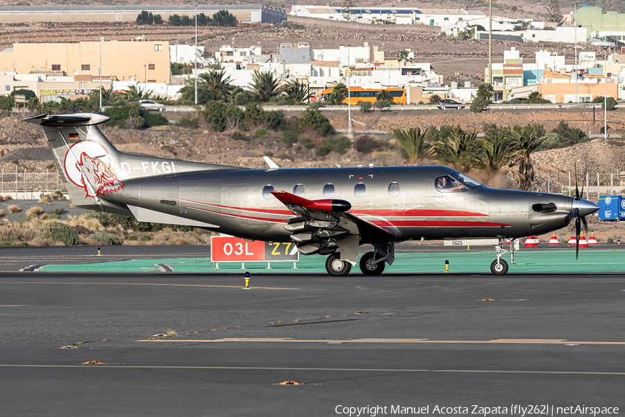 (Private) Pilatus PC-12/47E (D-FKGI) | Photo 664034