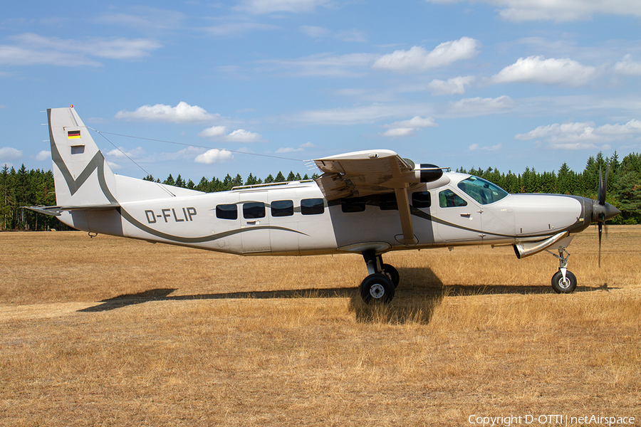 (Private) Cessna 208B Grand Caravan (D-FLIP) | Photo 257483