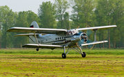 Classic Wings PZL-Mielec An-2T (D-FONC) at  Bohmte - Bad Essen, Germany