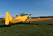 (Private) North American T-6G Texan (D-FPAE) at  Bienenfarm, Germany