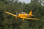 (Private) North American T-6G Texan (D-FPAE) at  Bienenfarm, Germany