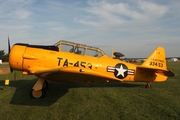 (Private) North American T-6G Texan (D-FPAE) at  Bienenfarm, Germany