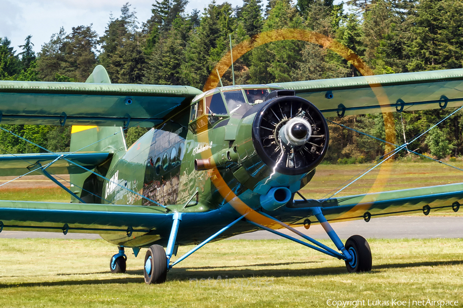 Aeroclub Aviators Antonov An-2TD (D-FWJH) | Photo 383644