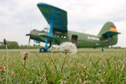 Aeroclub Aviators Antonov An-2TD (D-FWJH) at  St. Michaelisdonn, Germany