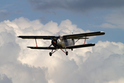 (Private) PZL-Mielec An-2T (D-FWJM) at  Hahnweide - Kirchheim unter Teck, Germany